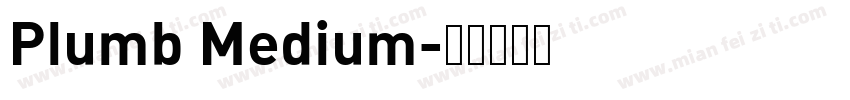 Plumb Medium字体转换